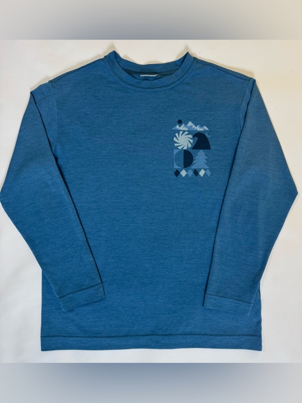 Patagonia Kids Capilene Long-Sleeve Tee in Blue with Graphic - Youth Small 7/8